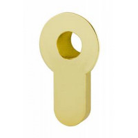 Вставка под шток для CYLINDER Armadillo 1GP-2 золото