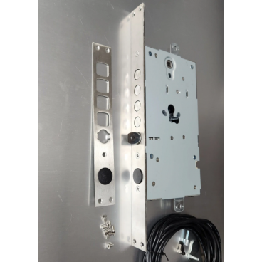 Электромоторный замок Dircode DM2