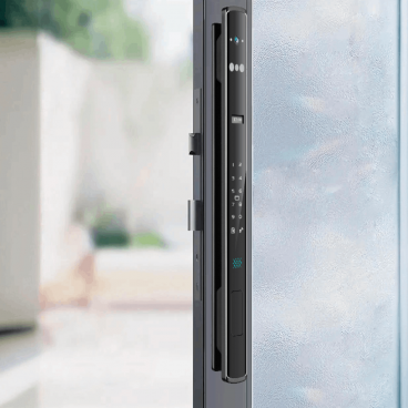 Умный замок Dircode TS-2