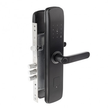 Электронный замок Apecs Smart SL-52-60 (TTLock, отпечаток, карта, код)